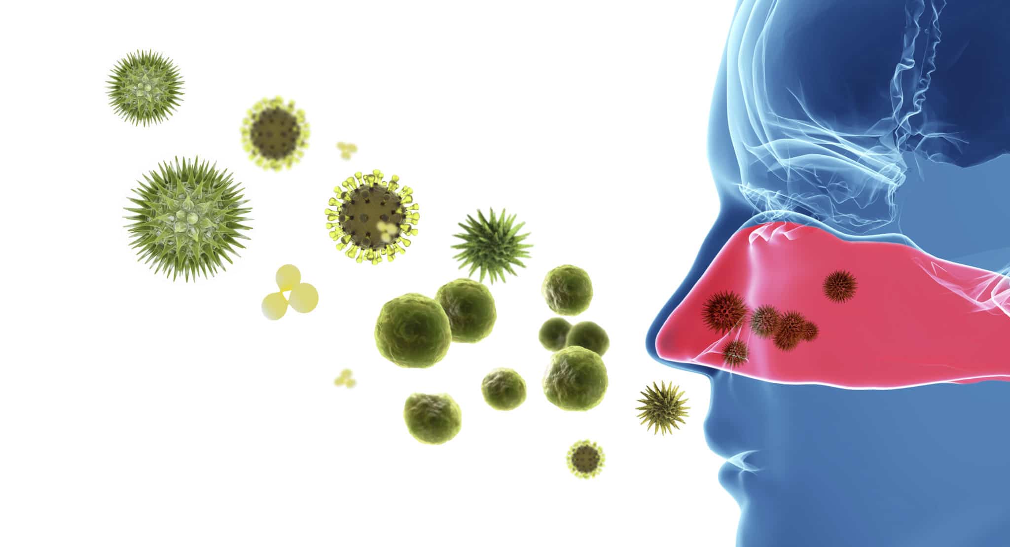 Allergy Pollen